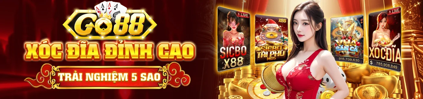 Banner www.fj33y.com