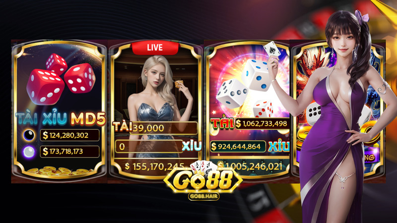 Banner www.fj33y.com